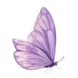 Taller: Cuida tu jardín y vendrá la mariposa